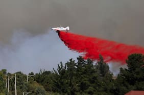 Incendios forestales: dos viviendas siniestradas en Maule, y más de 1.100 hectáreas afectadas