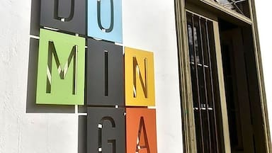 Proyecto Dominga: Andes Iron presentó recurso de casación ante la Suprema contra fallo de la Corte de Apelaciones