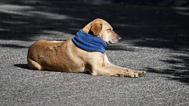 ¿Viene un invierno lluvioso? El pronóstico climático para Chile durante junio, julio y agosto