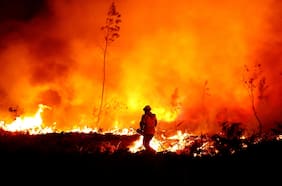 Conaf advierte que el 28% de los incendios forestales de esta temporada han sido intencionales