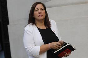 “Debió hacer la supervisión administrativa del caso”: Vodanovic dice que renuncia de Rojas era “necesaria "