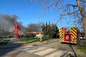 Incendio afectó al laboratorio de Neurociencias de la Universidad de Talca: se ordenó la evacuación del recinto