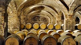 Viña Santa Rita cambiará a dos de sus siete directores y se quedará sin mujeres