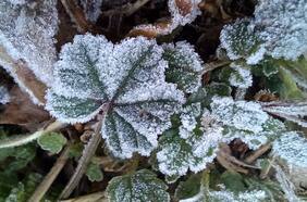 Santiago registra la temperatura mínima más baja del año