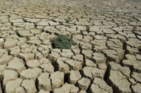 Científicos advierten que la actual estrategia climática de Chile no es suficiente para alcanzar la carbononeutralidad en 2050