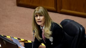 Rincón por proyecto de Enel criticado por Leonardo DiCaprio: “Veo muy difícil que prospere tal como está”
