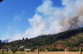 Detienen a sujeto por su presunta autoría en incendio forestal en Pencahue que ha devastado 40 hectáreas de vegetación
