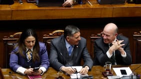 Senado aprueba idea de legislar de megaproyecto con los votos justos y Araya (PPD) se abstiene en señal de apertura
