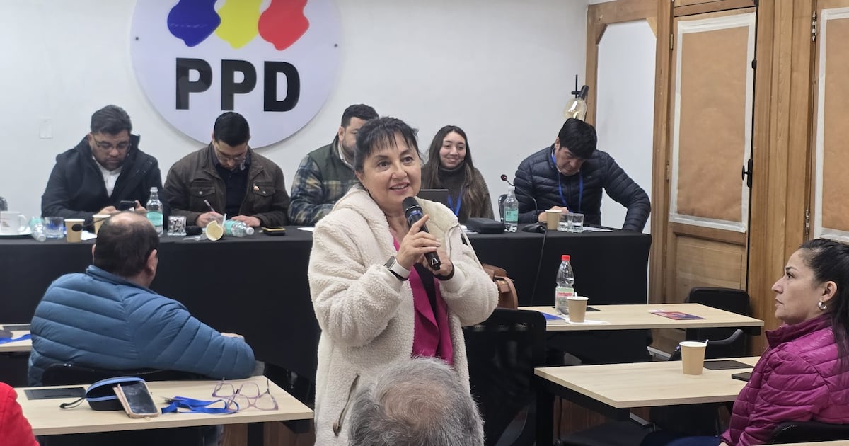 Acusa falta de apoyo de la mesa nacional: diputada Marzán renuncia a la presidencia regional de Valparaíso del PPD