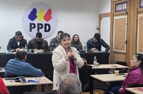 Acusa falta de apoyo de la mesa nacional: diputada Marzán renuncia a la presidencia regional de Valparaíso del PPD
