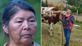 “Me quería quitar la plata de mi pensión”: el testimonio del adulto mayor que defendió Julia Chuñil antes de morir