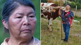 Encuentran carnet de Julia Chuñil en casa de uno de sus hijos: los detalles del control de detención de imputados en el caso