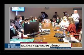 Diputadas de la comisión de Mujer y Equidad de Género inician discusión de proyecto que despenaliza el aborto: coinciden en que debate debe desarrollarse con “respeto”