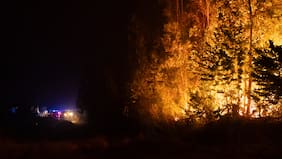 Incendios forestales: se mantienen seis siniestros en combate y Conaf activa botón rojo en más de 100 comunas