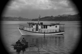 Isla Friendship: nuevas miradas en torno a una obsesión