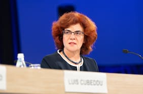 FMI pone bajo la lupa la megarreforma del gobierno de Kast y advierte ante propuesta de baja de impuestos