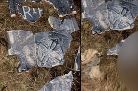 Macabro hallazgo en Puerto Montt: perro fue quemado vivo en presunto ritual satánico