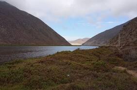 Un misterioso fraile y un bosque en el desierto: se cumplen 80 años del Parque Nacional Bosque de Fray Jorge