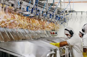 Corte Suprema despeja vía para demanda colectiva de Conadecus por caso de colusión en el mercado de la carne de pollos