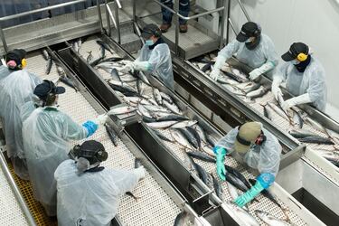 El tsunami judicial de casi US$ 600 millones que amenaza al Fisco por las cuotas pesqueras