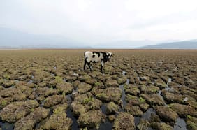 Estudio ubica a Chile entre los 25 países que se enfrentan a un estrés hídrico extremadamente alto
