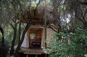 El mágico glamping ecomigable y en medio de un bosque cerca de Santiago que puedes arrendar por Airbnb