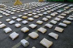 Bolsas rotas, fallos en registros y falta de sistemas: Contraloría detecta irregularidades en destrucción de droga incautada