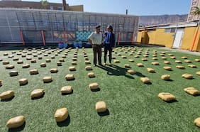 Tres detenidos y casi una tonelada de droga incautada deja operativo aéreo-terrestre en Antofagasta y Atacama