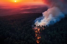 Sudamérica en llamas: el peligroso aumento del número de días con condiciones extremas de calor, sequedad y alto riesgo de incendios