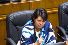 Senadora Provoste pide al gobierno un aumento extraordinario de recursos ante alza de cuentas de la luz