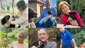 Manzana, Pixie o Pelusa: las mascotas de los candidatos presidenciales y cómo el bienestar animal entró en la campaña