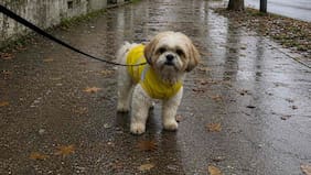 A qué hora comenzará la lluvia hoy en la Región Metropolitana (y qué tan intensa será)