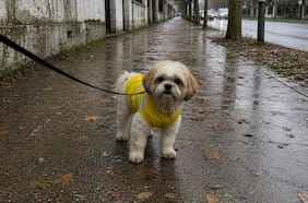 A qué hora comenzará la lluvia hoy en la Región Metropolitana (y qué tan intensa será)