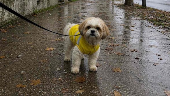 A qué hora comienza la lluvia hoy en la Región Metropolitana