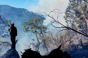 Autoridades de Los Lagos refuerzan medidas para enfrentar incendio forestal que se propagaría a Chile desde Argentina