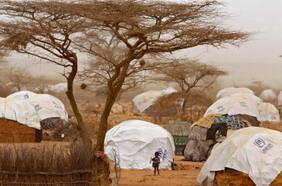 Más de 200 muertos deja culto de secta religiosa en Kenia: Presidente del país asume “total responsabilidad”