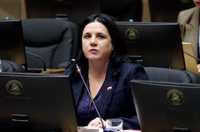 El oficio con excusas que Steinert envió al Senado antes de la fracasada comisión y que irritó al oficialismo