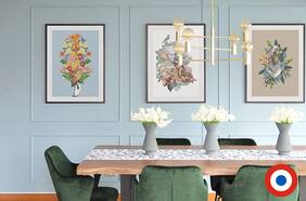 El rol del color en la transformación de espacios