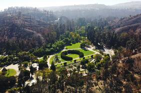 El nuevo florecer del Jardín Botánico de Viña del Mar: empresas y organizaciones ayudan en el plan de reforestación