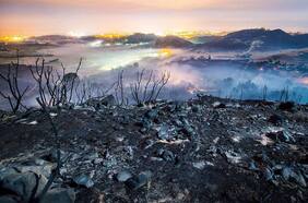 Solastalgia: La desolación que provoca el deterioro del medioambiente