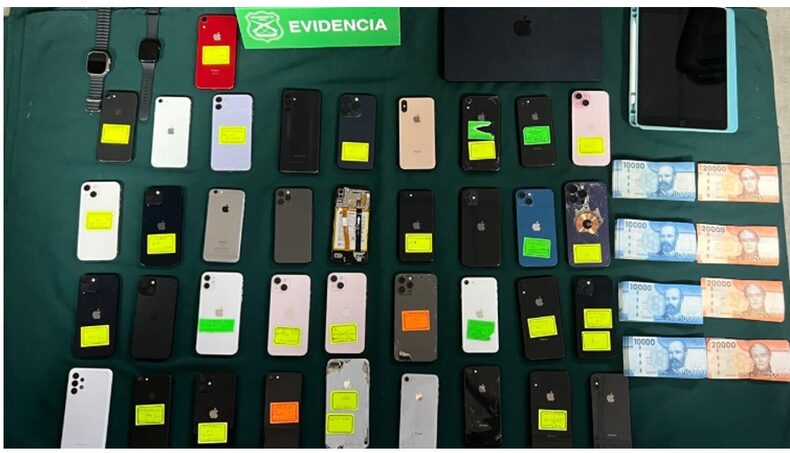 Evidencia especies incautadas.