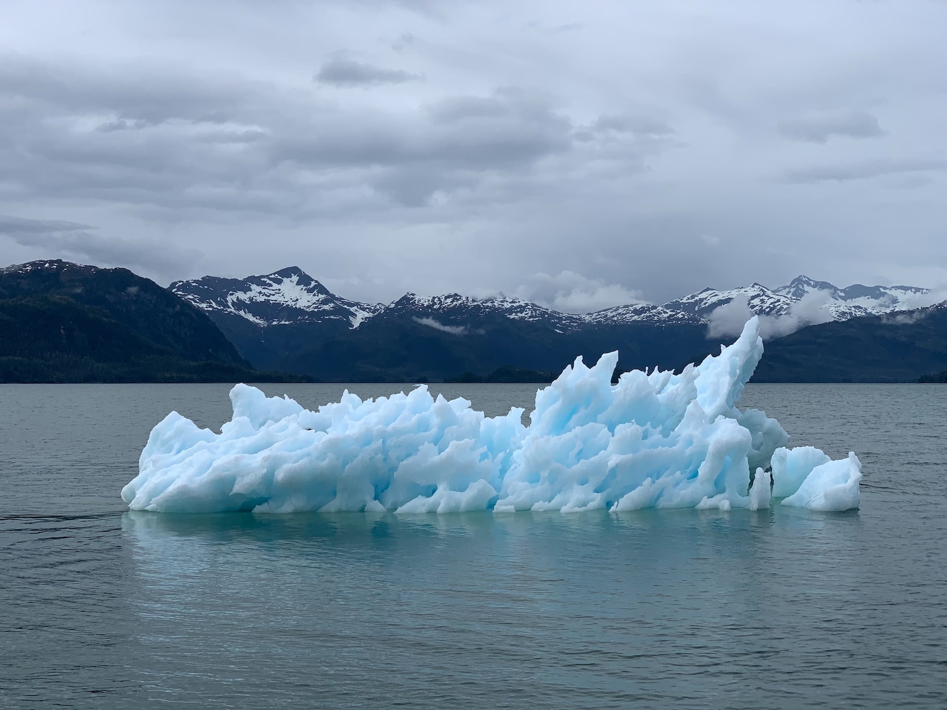 Día del medio ambiente: volver a observar para actuar
