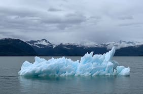 Día del medio ambiente: volver a observar para actuar