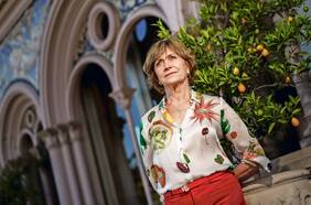 Matthei vuelve a la carga por la diferencia de costo de la licitación de luminarias en Providencia y Recoleta