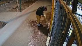 Cómo fue que Los Pulpos se asentaron en la Región Metropolitana rivalizando con otras bandas como el Tren de Aragua