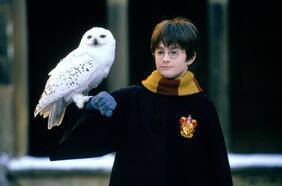 Hedwig’s Theme: el himno de Harry Potter que se quedó en la memoria colectiva