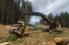 Encapuchados queman seis vehículos en faena forestal en Arauco tres días después de inicio de estado de excepción