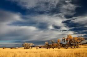 El inesperado hallazgo en la Patagonia que permaneció oculto por más de 50 años