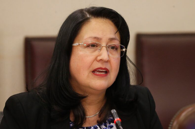 Dorothy Pérez durante sesión de la comisión por el caso de las Farmacias Populares.