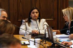 Senadora Campillai citará al ministro de Energía y a la SEC a la comisión de DD.HH. por muertes de electrodependientes